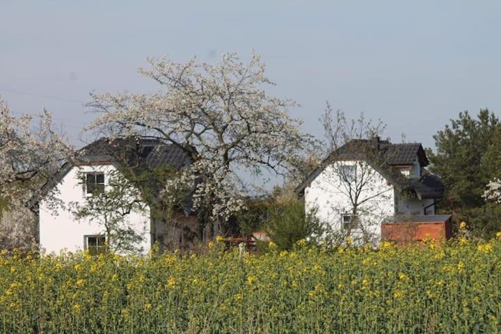 Domek W Bialej - Mak Marcinowice Exterior foto